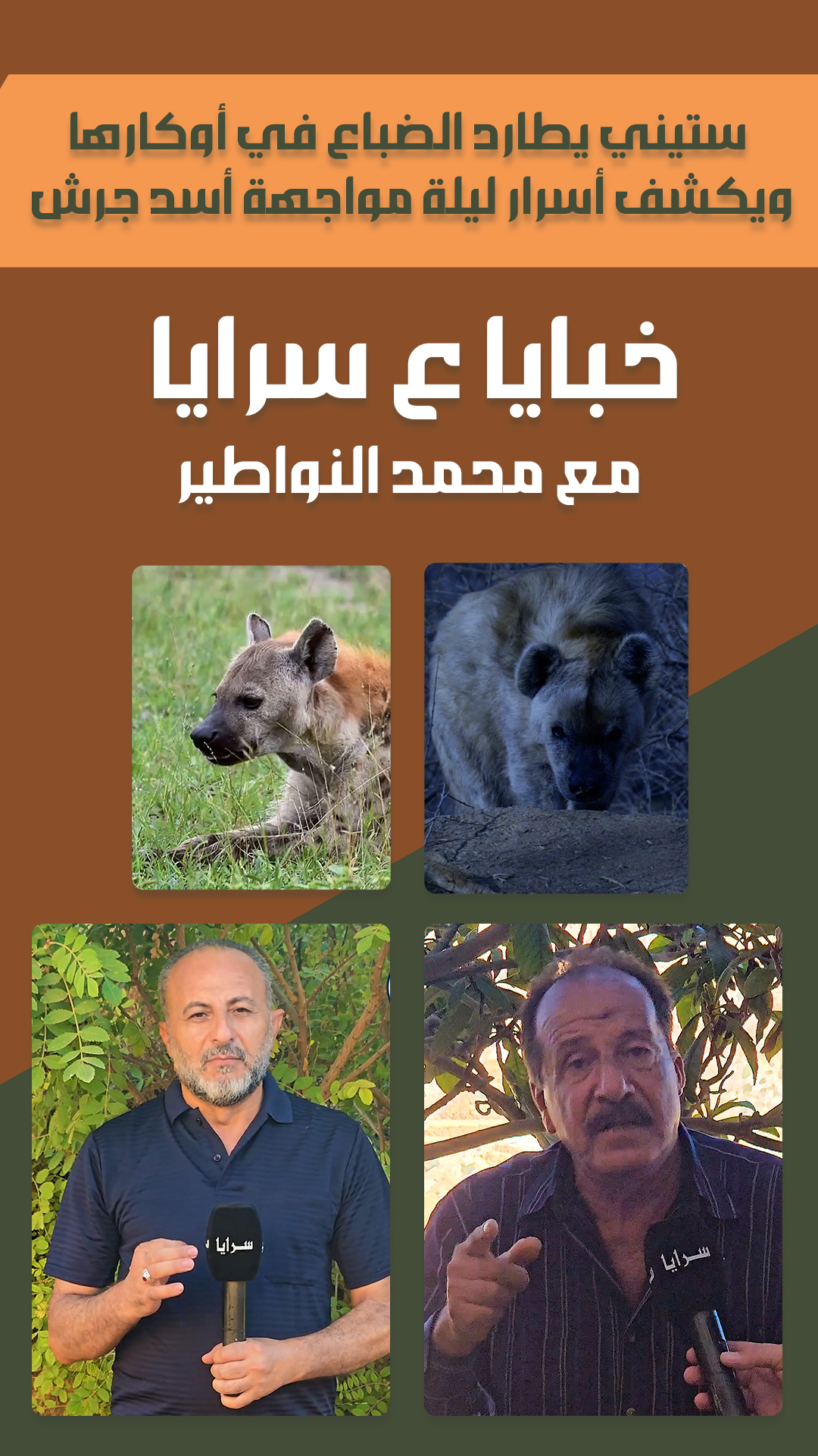 ستيني يطارد الضباع في أوكارها ..  ويكشف أسرار ليلة مواجهة "أسد جرش"  ..  فيديو 