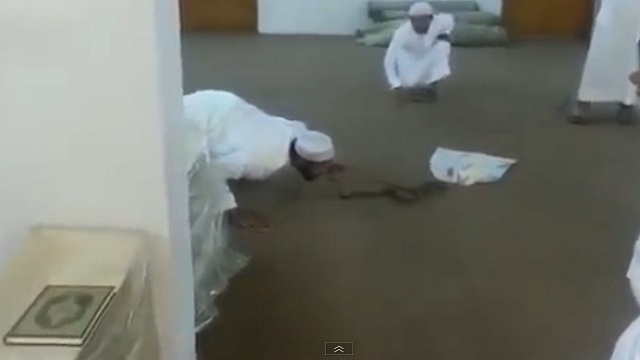 بالفيديو  ..  موظف سعودي يتحدى ثعباناً في دائرة حكومية 