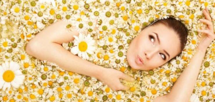 فوائد البابونج المذهلة للبشرة