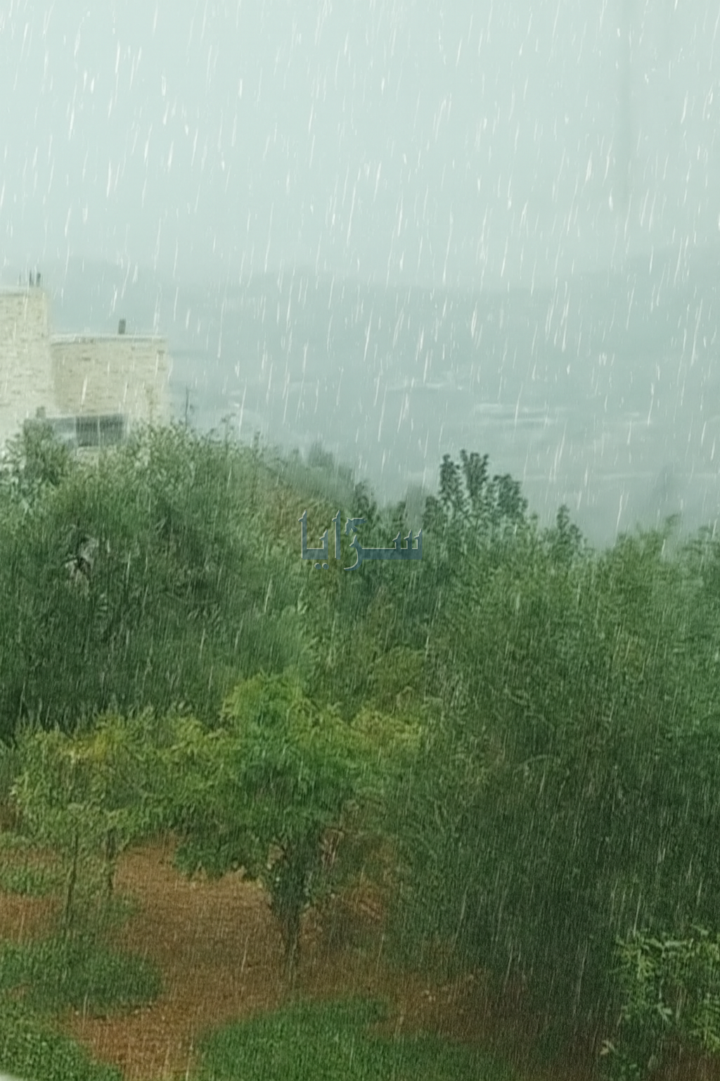 شاهد بالفيديو ..  تساقط غزير للأمطار في إربد وعجلون