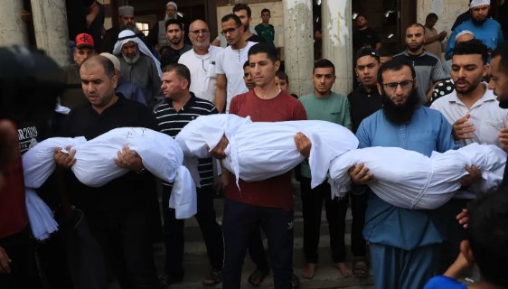 بالفيديو  ..  القطط تأكل جثامين الشهداء في ظل صعوبة دفنهم والوصول إليهم 
