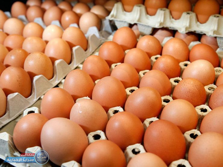 ارتفاع أسعار البيض إلى 2.6 دينار  
