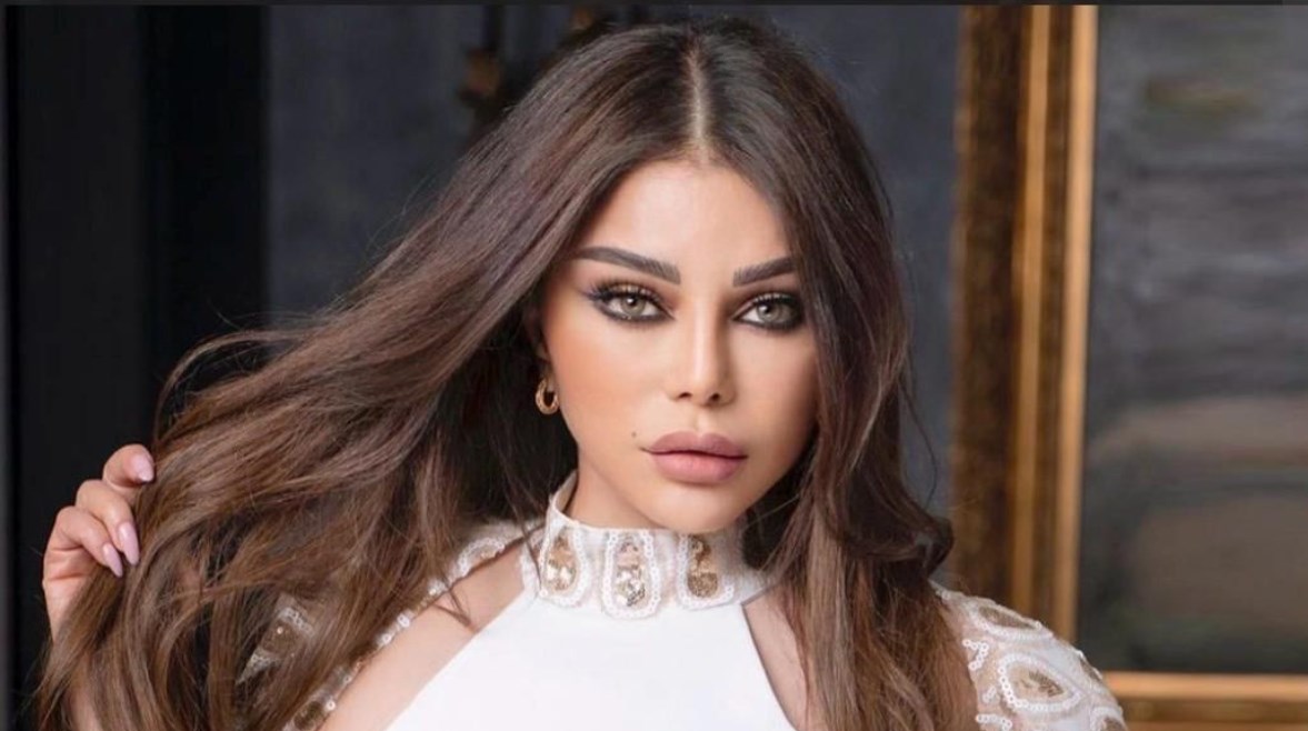 هيفاء وهبي تقاضي صفحات على مواقع التواصل