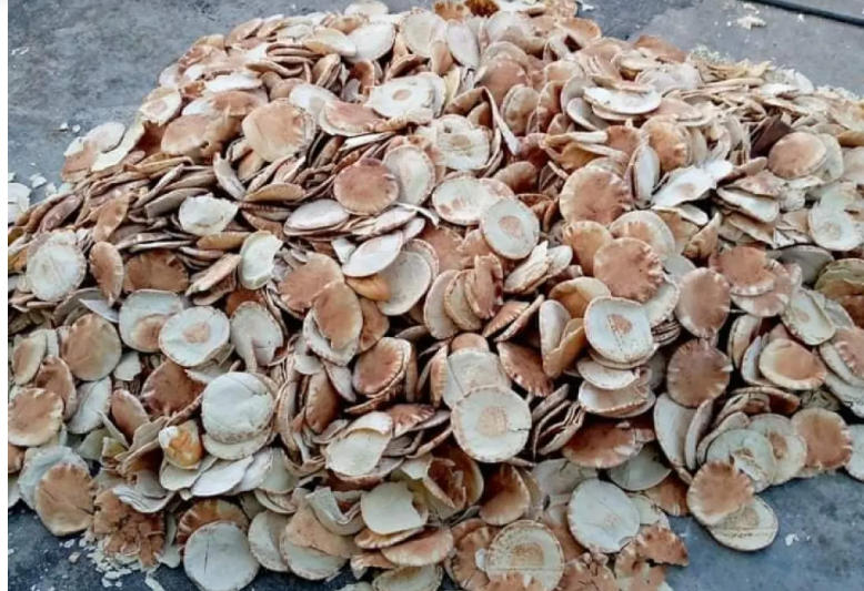 التونسيون يرمون 900 ألف رغيف خبز يوميا