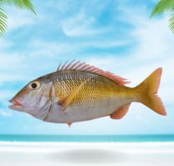 تفسير حلم بيع السمك في المنام وعلاقته بالحصول على رزق حلال كثير