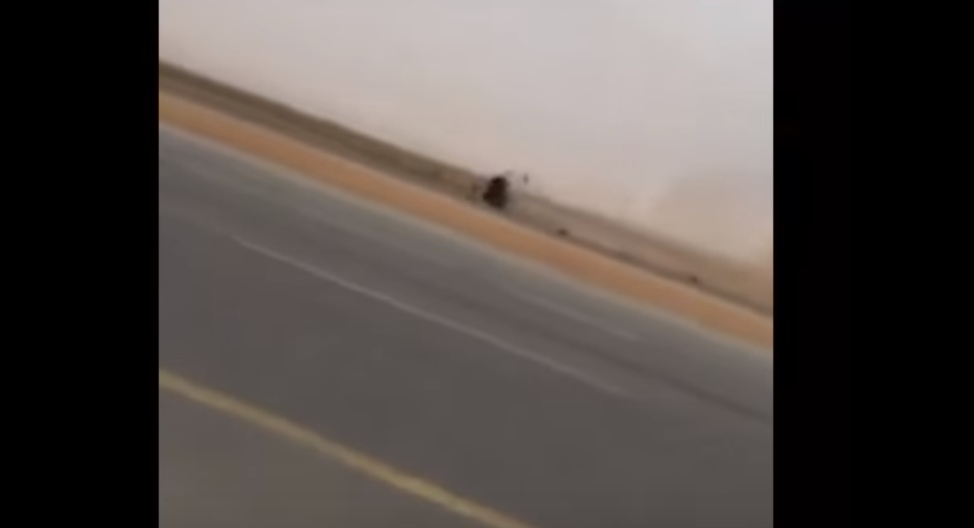 بالفيديو  ..  لحظة انقلاب سيارة في حادث "تفحيط" 