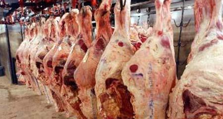 اغلاق 8 ملاحم وتوقيف اصحابها في اربد ..  وانذار اخرين بالترحيل من مجمع عمان