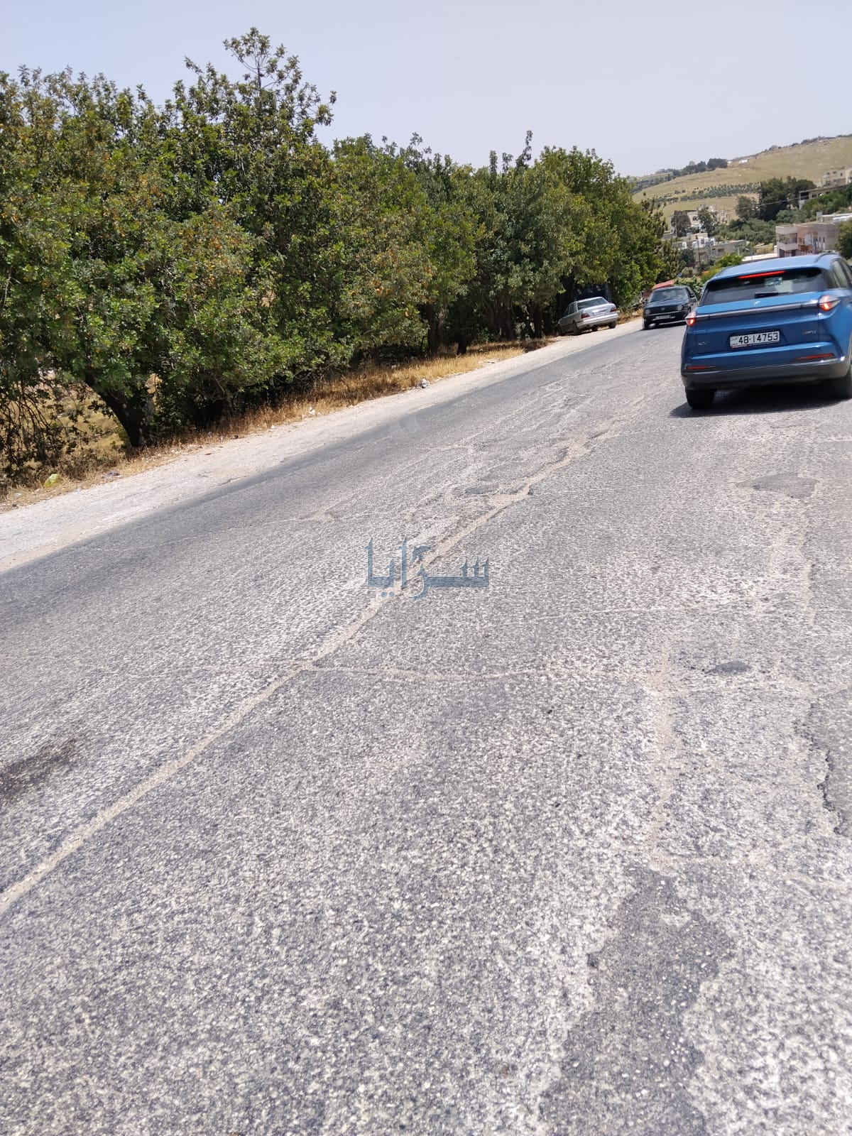 مواطنون لـ"سرايا" طريق بيت يافا غارق في الأهمال و وعود تغيب عن الأفعال ..  صور 