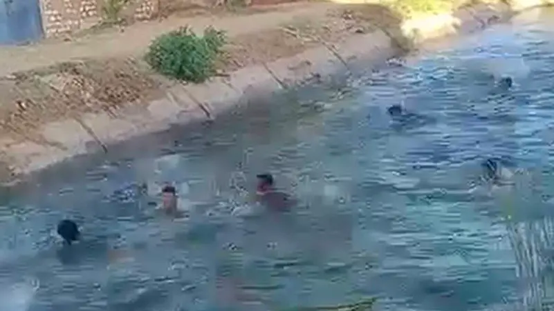 زغاريد وغطس ..  أغرب "حنة" لعريس مصري هرباً من الحر الخانق