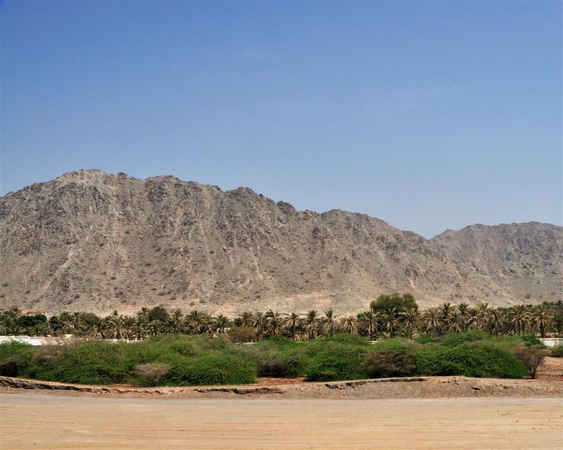 إنقاذ مواطن علق في جبال الحلاة بامارة الفجيرة