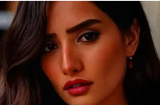 ظهور نادر ..  زينة تشارك صور توأمها لأول مرة