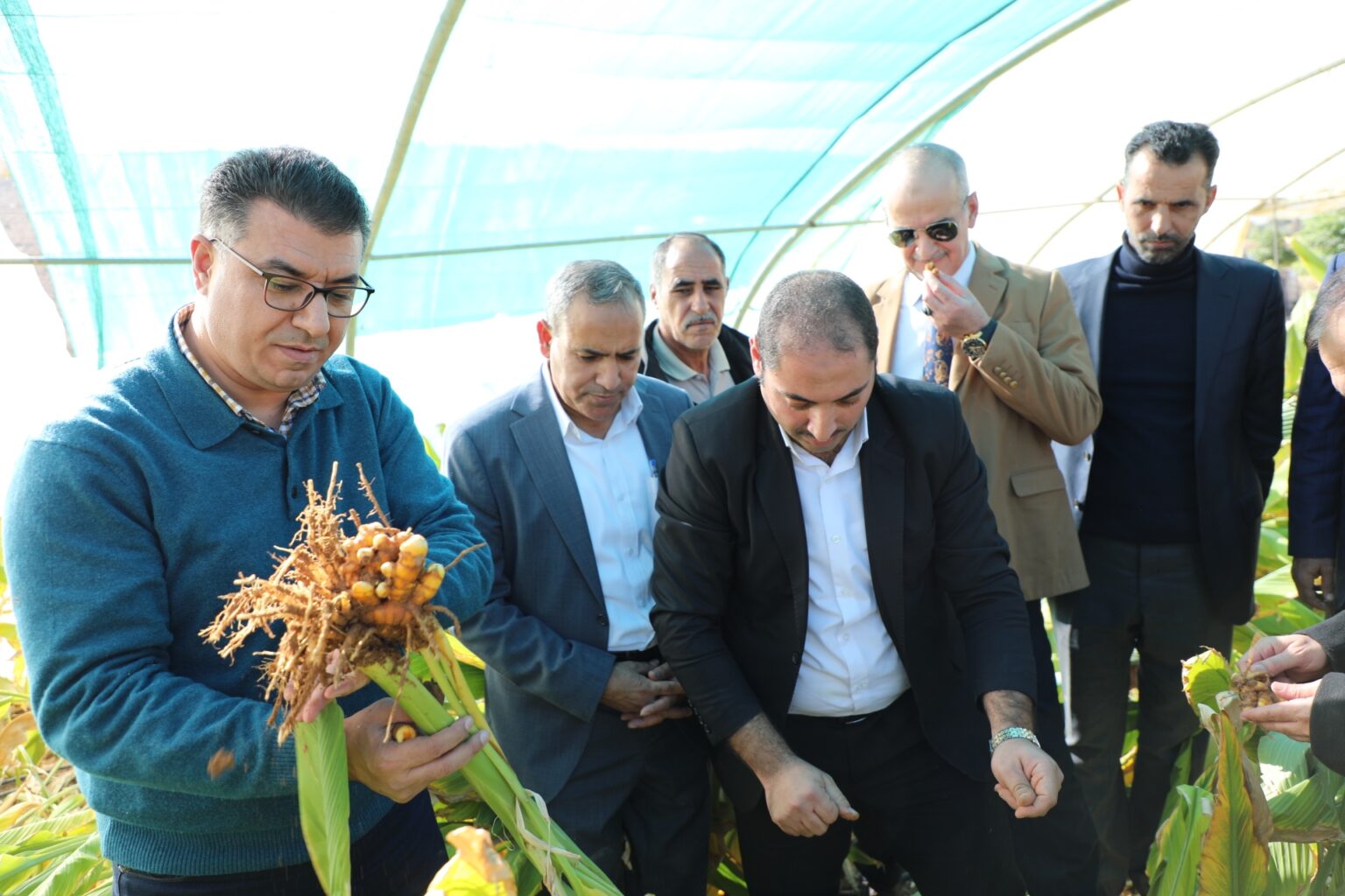 وزير الزراعة: الأردن يستورد 1100 طن كركم سنويا
