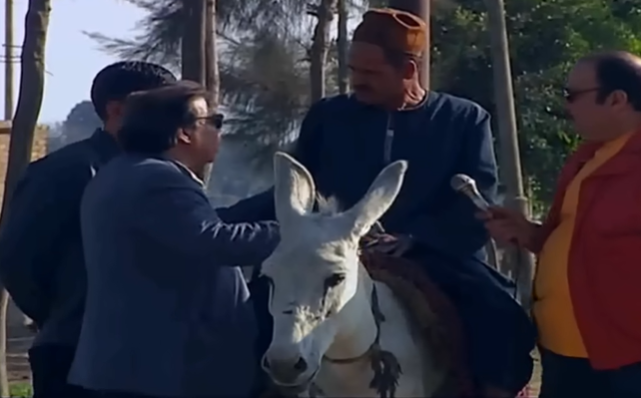  "الحقونا" - كمين مرور للحمير