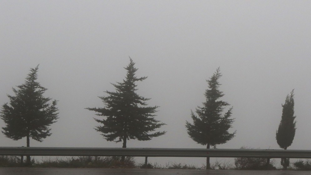 عاجل اا الأرصاد الجوية تحذر من تدني مدى الرؤية الأفقية بسبب الضباب #سرايا 