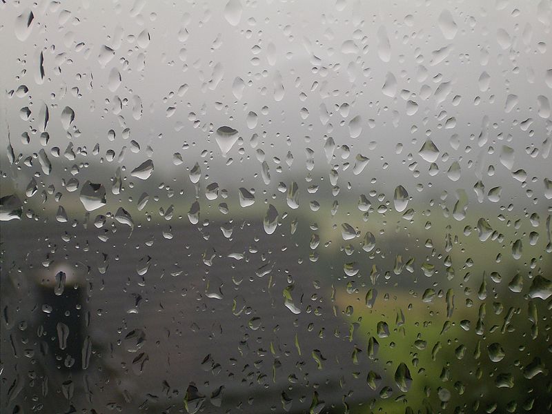 غيوم وزخات أمطار محلية محتملة في شمال الأردن خلال الساعات المقبلة