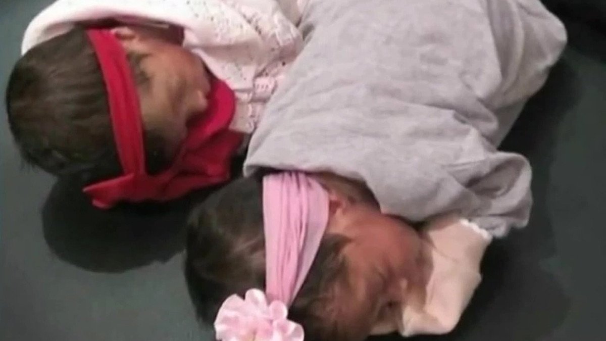 بسبب الغيرة ..  كلب يقتل طفلتي مربيته