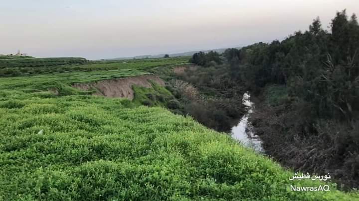 موسم مطري جيد يساعد على انعاش التنوع الحيوي في الاردن