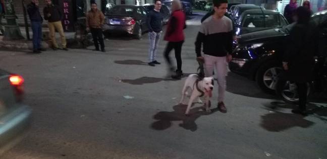 اصطحاب الكلاب في الشوارع ظاهرة استعراضية واستفزازية مؤذية  ..  "تفاصيل"