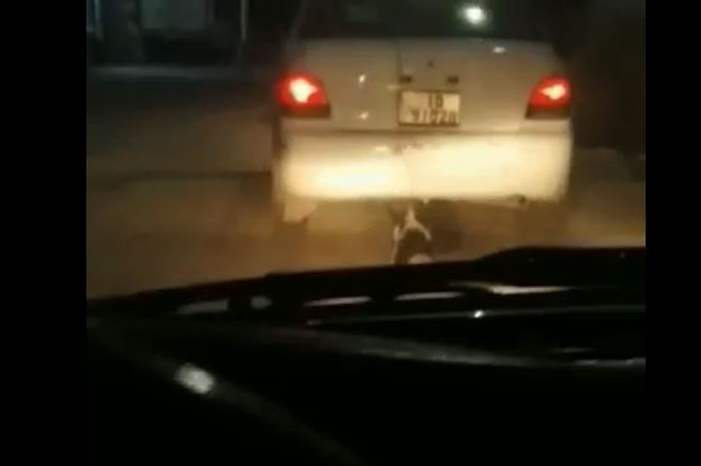 الامن العام يباشر التحقيق بالفيديو الذي اغضب الاردنيين في عوجان 