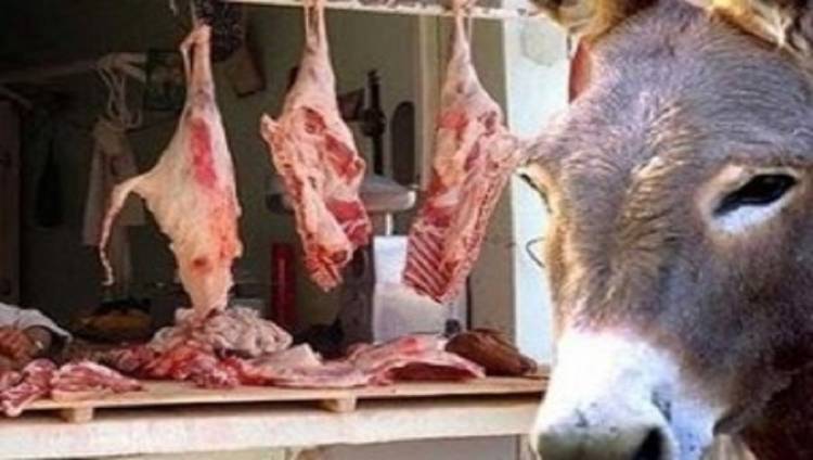 ما حقيقة بيع لحوم الحمير للمواطنين في الكرك؟ 