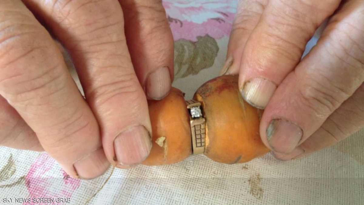 سيدة تجد خاتمها الضائع في قلب جزرة بعد 13 عاما!