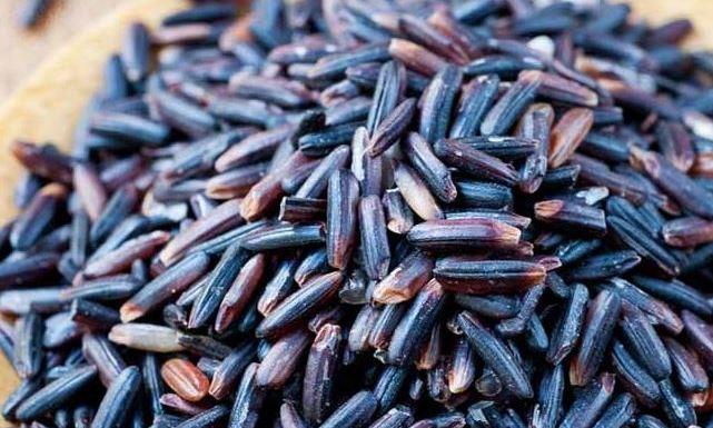الأرز الأسود المحظور ..  ماذا تعرفون عنه؟