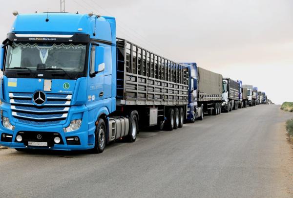 الأردن يسير 40 شاحنة محملة بالغذاء الى قطاع غزة