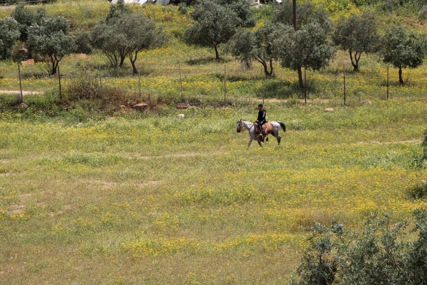 كتلة هوائية باردة تلوح في الأفق نهاية الاسبوع وبداية الاسبوع القادم
