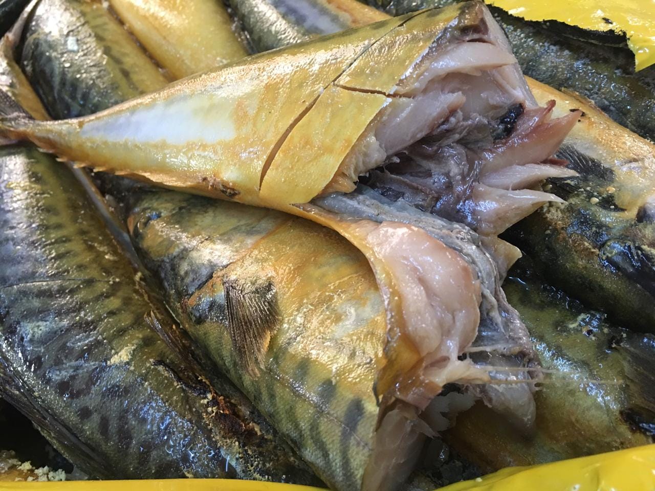 ضبط 6 أطنان أسماك فاسدة في إربد  .. صور 