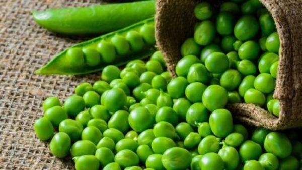 في موسمها ..  كيف تحافظين على لون البازلاء الأخضر أثناء السلق