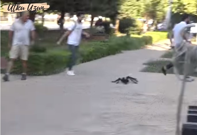 مقالب كومديه ضحك