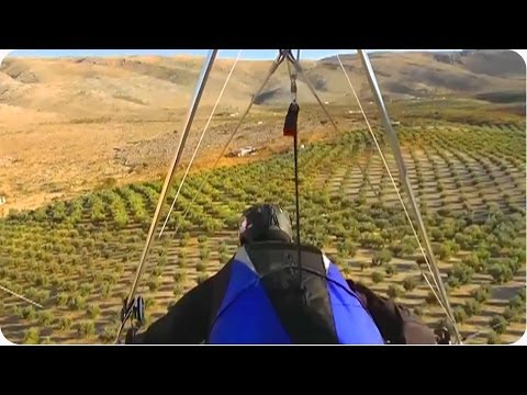 شاهد اصطدام طائرة شراعية لمغامر بشجرة
