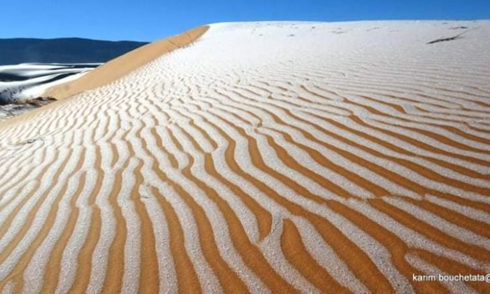 طبقات الجليد تزيّن كثبان صحراء الجزائر - صور