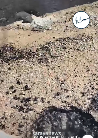 مواطن يدعي استمرار كسر خط مياه في الزعتري وهدر مستمر منذ 7 سنوات  ..  فيديو 