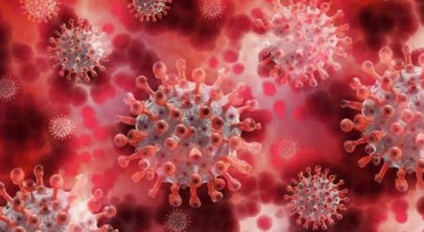 قلق بالغ من احتمال تزايد إصابات ووفيات كورونا بشرق المتوسط