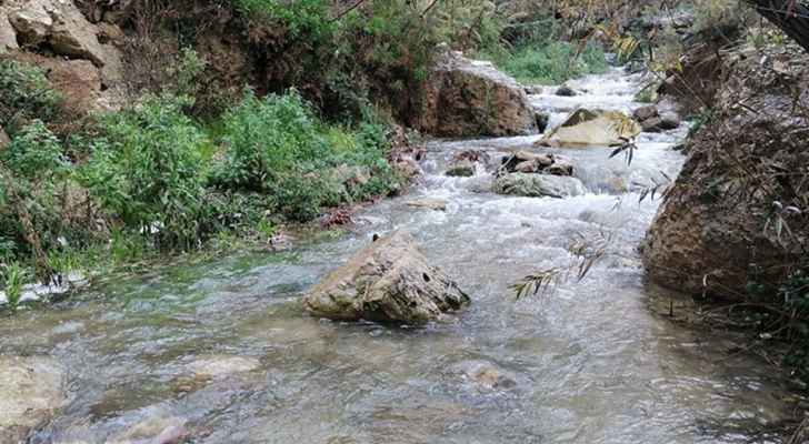 الأمطار تنعش ينابيع المملكة وتفتح نافذة أمل للأمن المائي والزراعي