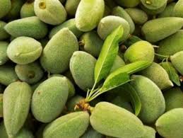 لمحبي اللوز الأخضر ..  هل تعرفون هذه المعلومات عنه؟