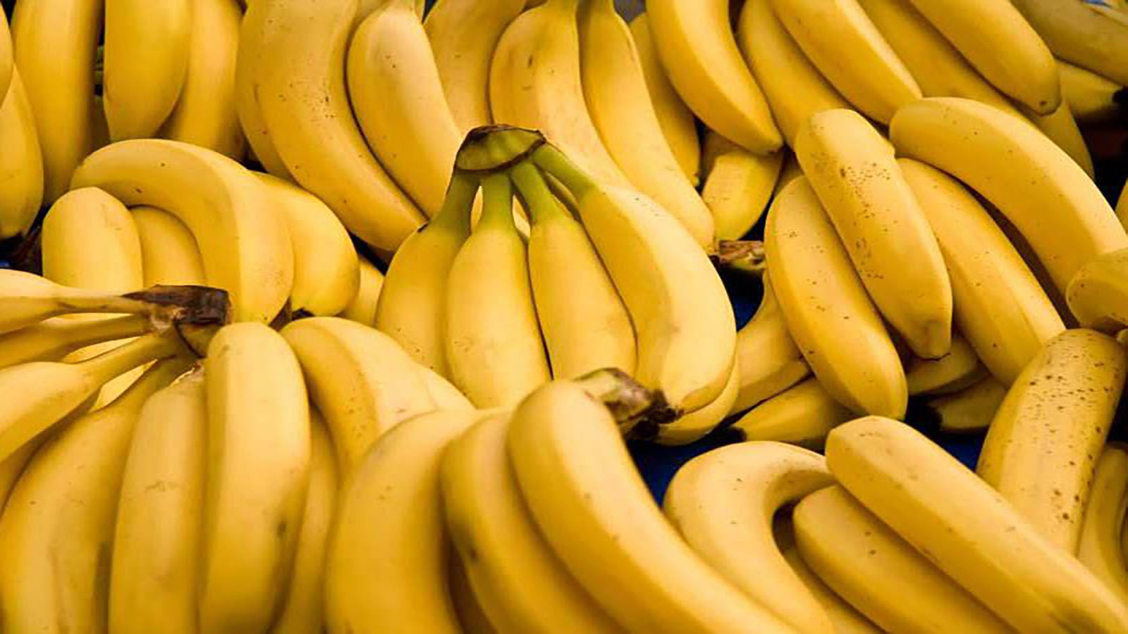 فوائد صحيّة ونفسيّة جمّة لأكل الموز يومياً