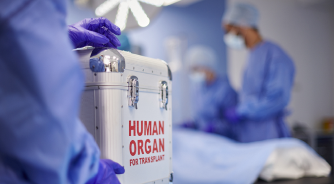 إنجاز صيني قد يحدث تحولا مذهلا في مجال زراعة الأعضاء