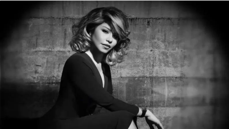 بتهمة التعدي عليها وإتلاف منزلها ..  حبس شقيق شيرين عبد الوهاب 6 أشهر