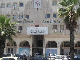 "الزراعة": تجاوزات بمنح تصاريح عمل مزورة بمديريات زراعة