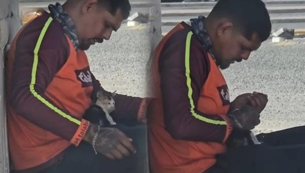 بالفيديو ..  مشهد إنساني لعامل توصيل مع قطة كادت تموت بسبب الحر