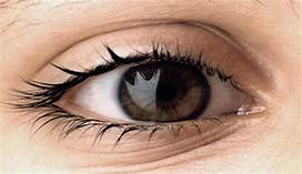 اكتشاف علمي مثير بشأن "عين الميت"