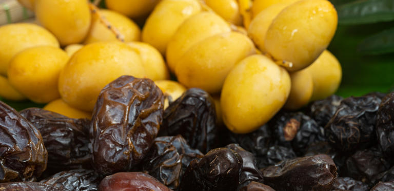 أفضل أنواع التمر للصائمين ..  الطعم والقيمة الغذائية في طبق واحد