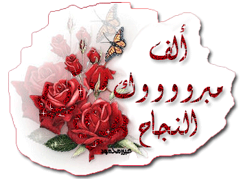 مبارك نور الدين