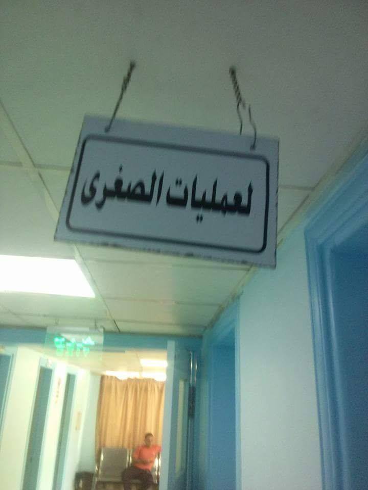 بالصور ..  قطة تتجول في غرفة عمليات احد المستشفيات الحكومية بلواء الاغوار الشمالية 
