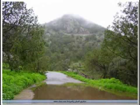 كاظم الساهر : برد ورياح ومطر 