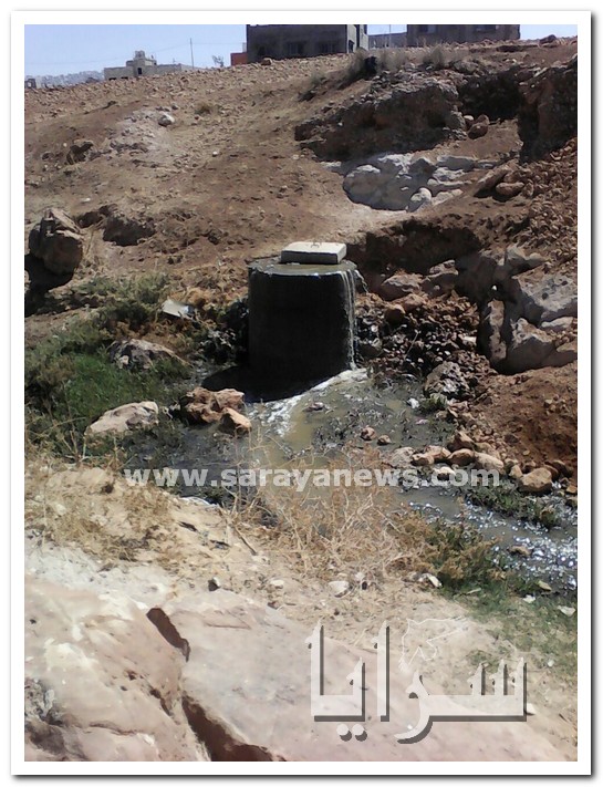 بالصور  ..  فيضان الصرف الصحي في "أم الدنانير" يتسبب بمكرهه صحية وانتشار للأوبئة و الأمراض
