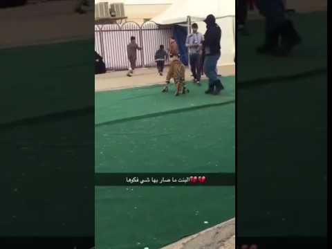 بالفيديو ..  نمر يهاجم طفلة في معرض ترفيهي بالسعودية
