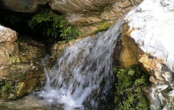 أمطار الخير تعيد الحياة لعشرات الينابيع في الأردن 